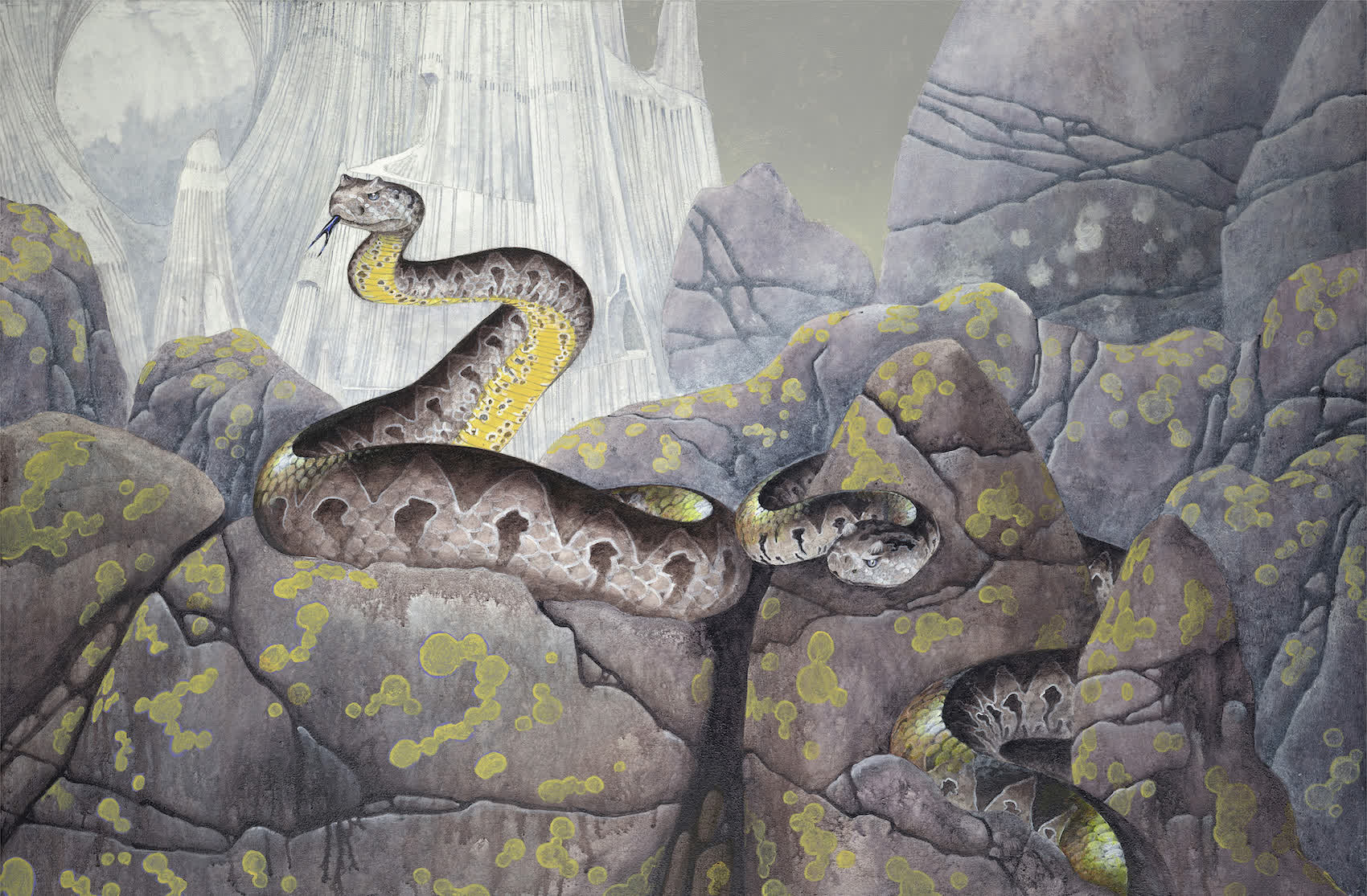 Illustration of a coiled snake on rocky terrain with lichen, set against a mystical, mountainous backdrop.